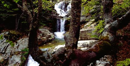 Aspromonte Cascata del salto del cervo 00db3b57 - Meraviglie di Calabria - 17