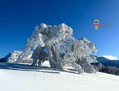 COVER 1 scaled 0072a11b - Home - 11 Parco del Pollino, stare a un passo dagli dèi