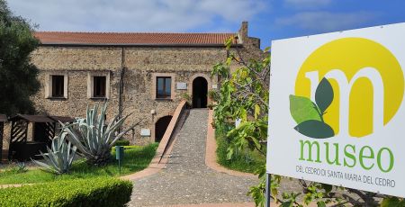 Museo del Cedro Santa Maria del Cedro 009bd4d4 - Meraviglie di Calabria - 19