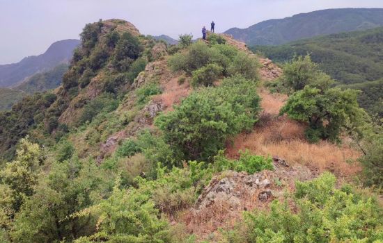WhatsApp Image 2024 07 18 at 10.45.59 007c3404 - Meraviglie di Calabria - 31