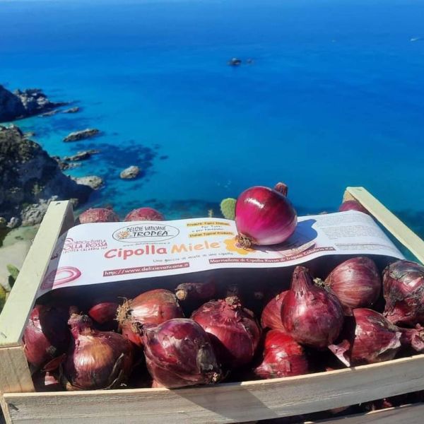 Sua maestà la Cipolla Rossa di Tropea, una tre giorni per celebrarla