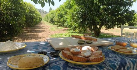 WhatsApp Image 2023 08 22 at 17.41.50 01f8ff4f - Meraviglie di Calabria - 19