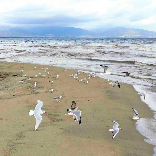 Esperienze di note, natura e cultura in “Pollino-Sybaris”