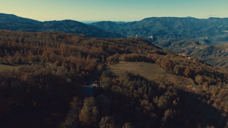 Patrimonio naturalistico Conflenti 02c000db - Felici & Conflenti: pronti per "Una montagna di suoni", il trekking sul Reventino - 1 Felici & Conflenti: pronti per “Una montagna di suoni”, il trekking sul Reventino