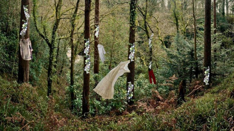 Nel Bosco degli Artisti di Gambarie le nuove opere del Face Festival