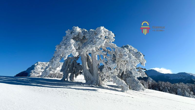 Parco del Pollino, stare a un passo dagli dèi