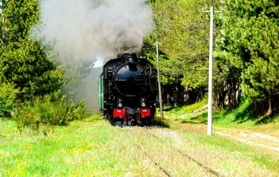 Treno Sila ph Rodolfo Scrivano 1 050cf65d - Meraviglie di Calabria - 21