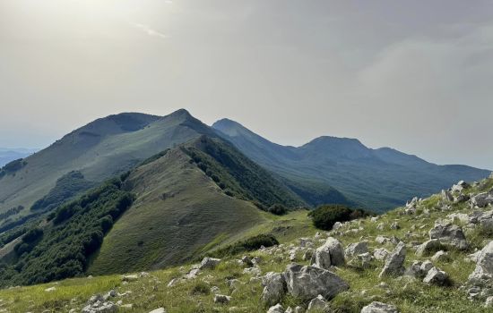 Pollino ph @antoninograsso 0605ff6f - Meraviglie di Calabria - 1