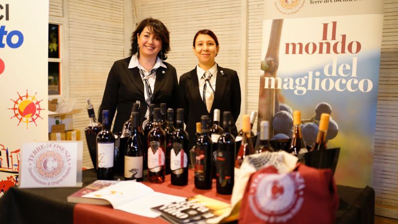 WhatsApp Image 2024 11 03 at 11.33.42 062a6db4 - Vaccarizzo Albanese, produttori di vino a Berat: si rafforza il gemellaggio - 1 Vaccarizzo Albanese, produttori di vino a Berat: si rafforza il gemellaggio