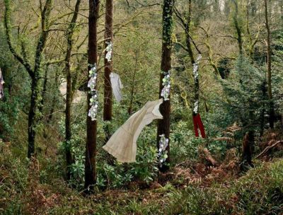 Nel Bosco degli Artisti di Gambarie le nuove opere del Face Festival
