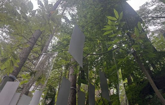 Sila Ecoritmi culturali 1 07f79272 - Meraviglie di Calabria - 1