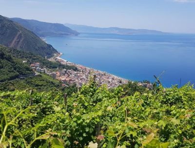 “L’Eroico” di Bagnara re dei vini estremi al Mondiali in Valle D’Aosta