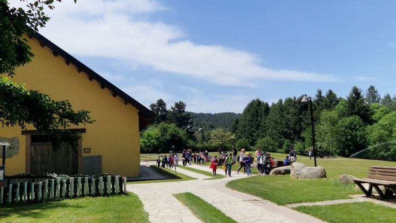 Sila Cupone 1 084e096a - Tutela ambientale e cinema, il Parco della Sila al Filmare Festival 2025 - 1 Tutela ambientale e cinema, il Parco della Sila al Filmare Festival 2025