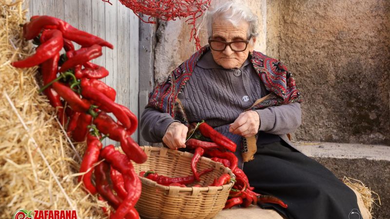 Zafarana Fest, Tortora dedica tre giorni alla regina del gusto