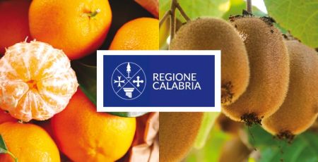 pagina 141 italian retailer business lounge 09f8af99 - Meraviglie di Calabria - 20