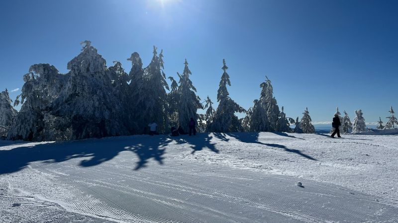 Sila neve 3 0ae49e90 - Destinazione Sila alla BIT, focus su turismo esperienziale e sostenibile - 1 Destinazione Sila alla BIT, focus su turismo esperienziale e sostenibile
