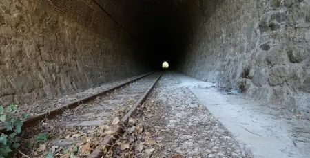 Via degli ulivi 1 0b997770 - Meraviglie di Calabria - 7