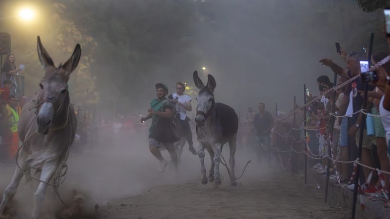 Laino Borgo, sta per arrivare il “Palio cu i ciucci”