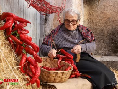 Zafarana Fest, Tortora dedica tre giorni alla regina del gusto
