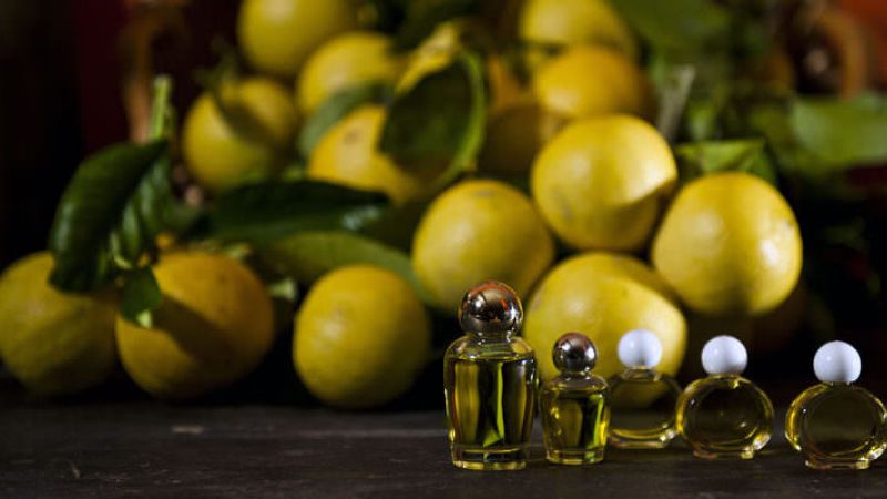 425561146 283573011407960 8552470267961920608 n e1715012944506 0d758b30 - Olio essenziale di bergamotto di Reggio, tre secoli di storia dell’estrazione - 1 Olio essenziale di bergamotto di Reggio, tre secoli di storia dell’estrazione