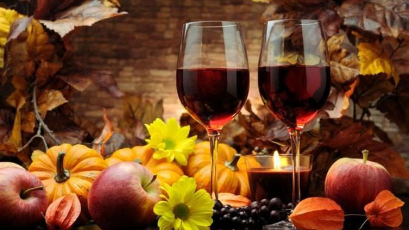 2 0e621f1c - L'estate di San Martino, quando il vino novello parla calabrese - 1 L’estate di San Martino, quando il vino novello parla calabrese