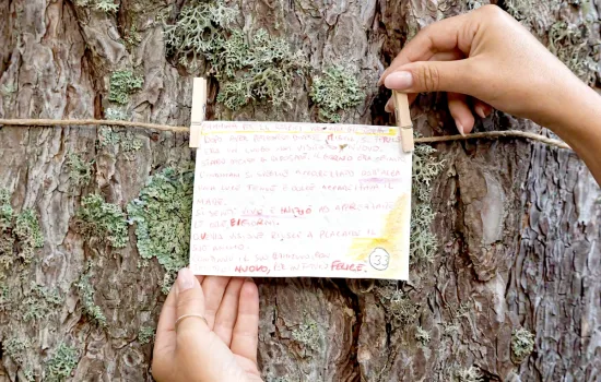 Hyle book festival Cartoline 1 0ebcdcd0 - Meraviglie di Calabria - 7