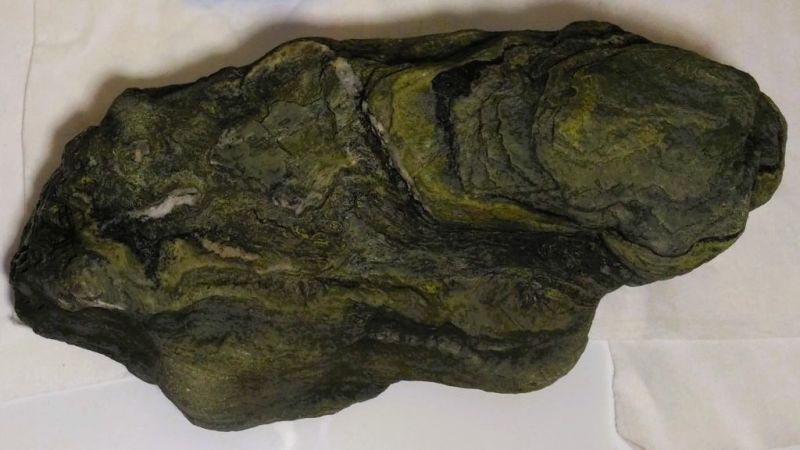 Pietra verde reventino foto AIAS 0e128b08 - La pietra verde del Reventino, un pezzo delle Alpi in Calabria - 1 La pietra verde del Reventino, un pezzo delle Alpi in Calabria