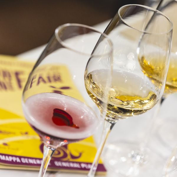 Vino buono, pulito e giusto: la Calabria a Slow Wine Fair 2025