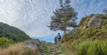 cammino 0e2dbefe - Meraviglie di Calabria - 41