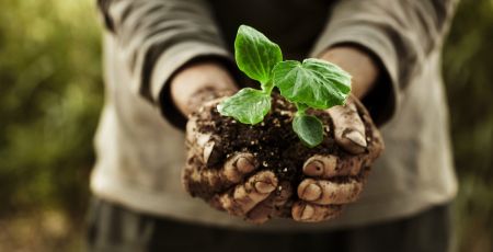 coltivare agricoltura contadinoFotolia 54141149 Subscription Monthly M e1712237879730 0e56cdf0 - Meraviglie di Calabria - 42