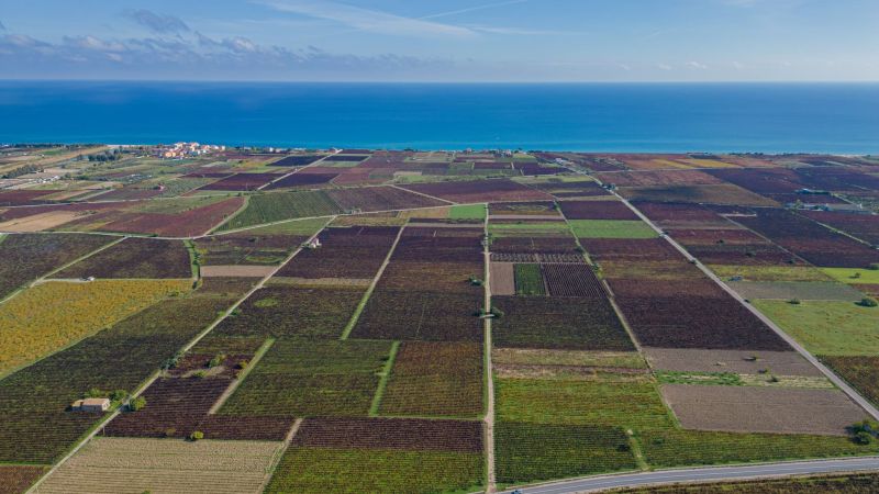 Cirò Wine Festival, 4 giorni di brindisi per il riconoscimento della DOCG
