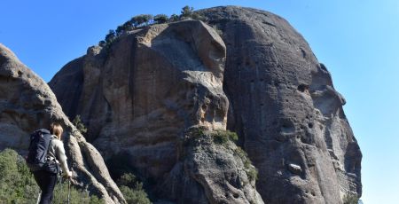 I5057. Aspromonte. Pietra Cappa. Ph F. Bevilacqua scaled e1712903222521 0f07576d - Meraviglie di Calabria - 41
