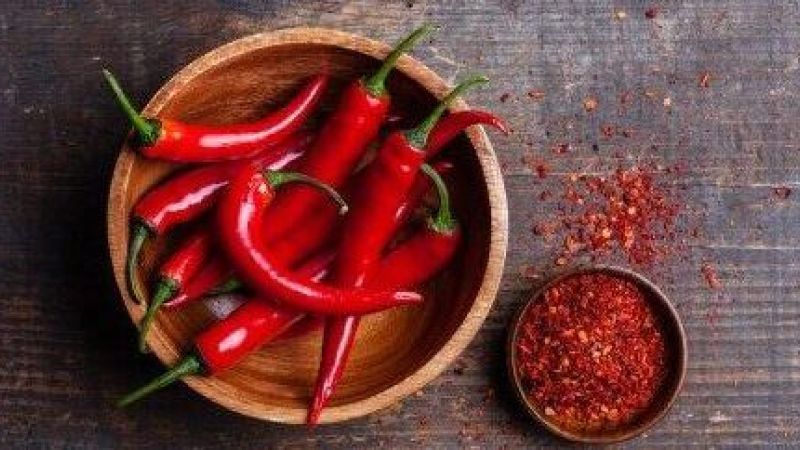 IMMAGINE COPERTINA rotated e1704476452495 0f0c4788 - Cosa mangeremo nel 2024? Il peperoncino protagonista dei nuovi trend - 1 Cosa mangeremo nel 2024? Il peperoncino protagonista dei nuovi trend
