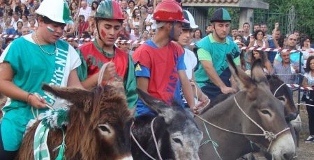 Il palio dei ciucci e1707321218437 101368c7 - Meraviglie di Calabria - 15