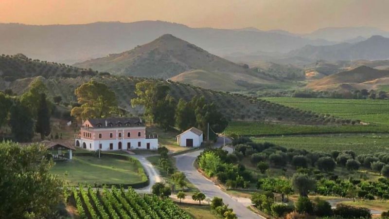 Tenuta Rosaneti Librandi e1708709949630 10d5fc98 - Cinque motivi (divertenti) per cui non dovresti mai visitare le cantine calabresi - 1 Cinque motivi (divertenti) per cui non dovresti mai visitare le cantine calabresi