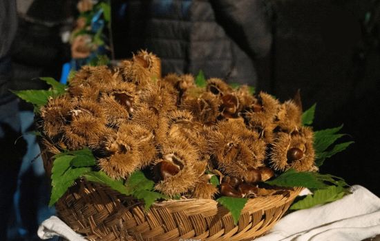 Castagna angoli Serrastretta 2 117b56b6 - Meraviglie di Calabria - 1