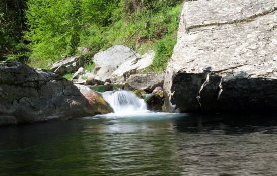 Mesoraca Riserva dei vergari 11 112b9c6e - Meraviglie di Calabria - 1