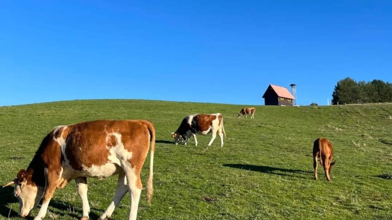Chiesa San Lorenzo Cecita 3 1227e8d2 - Cammina Natura, 18 escursioni per scoprire la Calabria - 1 Cammina Natura, 18 escursioni per scoprire la Calabria
