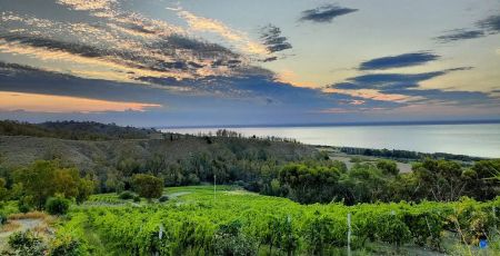 bivongi doc Casa Ponziana Azienda agricola biologica 5 129c4534 - Meraviglie di Calabria - 30