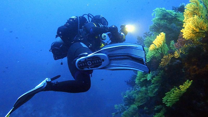Blue Economy, le meraviglie del Parco Marino di Soverato