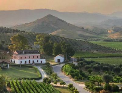 Cinque motivi (divertenti) per cui non dovresti mai visitare le cantine calabresi