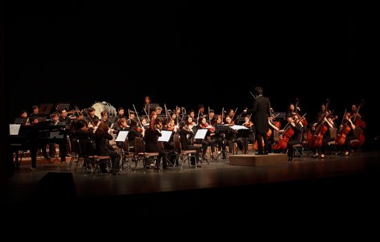 orchestra 152d85a6 - Meraviglie di Calabria - 29