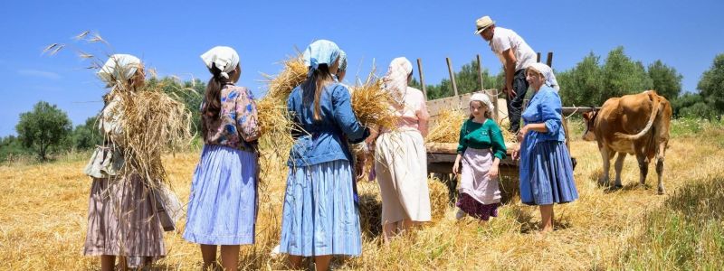 Nel nome del Secrìa, Festa della Mietitura a Pellegrina di Bagnara