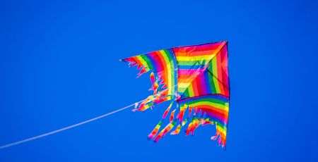 Aquilone scaled 16b25081 - Meraviglie di Calabria - 1