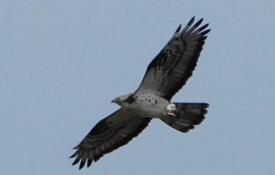 440101846 3259333457705185 7539412247881742317 n e1714744362711 1753d2a3 - Meraviglie di Calabria - 14