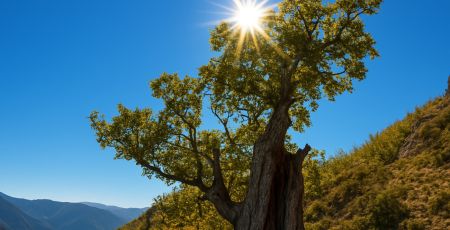 Parco aspromonte Demetra 17339f7f - Meraviglie di Calabria - 7