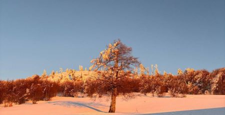 Pollino neve pino loricato giardino degli dei 11 175b9ff2 - Meraviglie di Calabria - 40