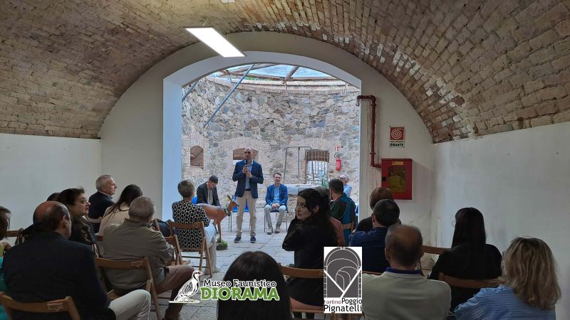 2 1837f98e - Campo Calabro, inaugurato il Museo Faunistico Diorama - FOTO - 1 Campo Calabro, inaugurato il Museo Faunistico Diorama – FOTO