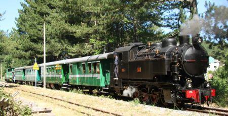 No.353 0 8 0T Borsig 1926 Treno della Sila Italy 50834732273 scaled 19b2cce9 - Meraviglie di Calabria - 40