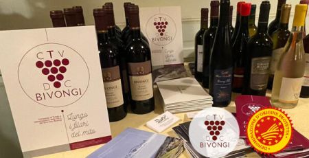 bivongi 2 e1713361908652 195f5ec0 - Meraviglie di Calabria - 21